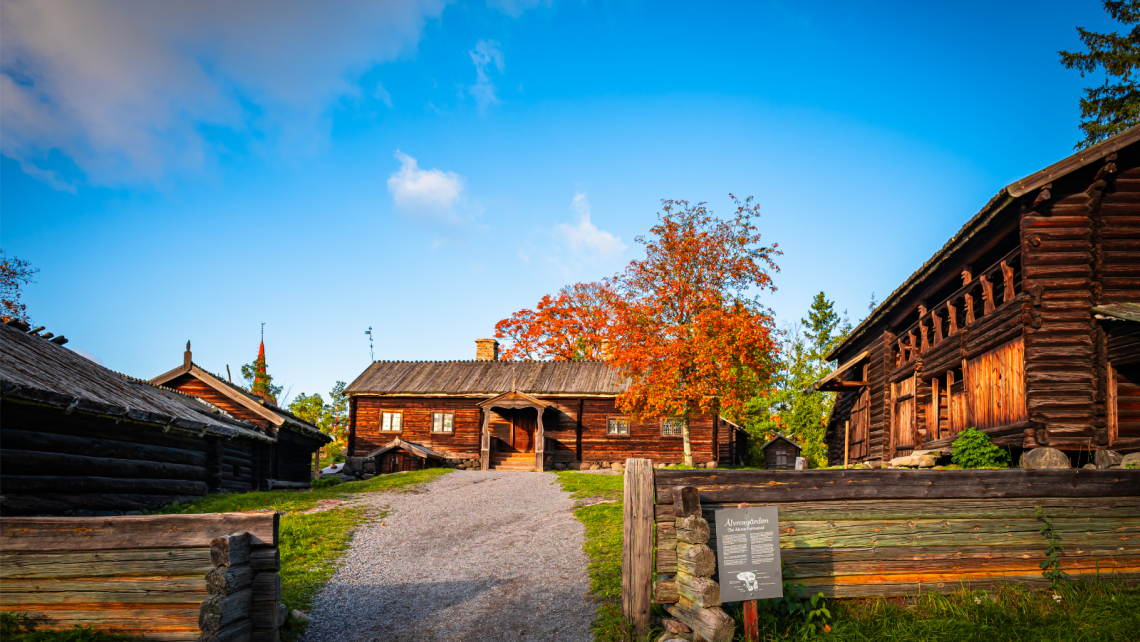 Skansen z prywatnym przewodnikiem